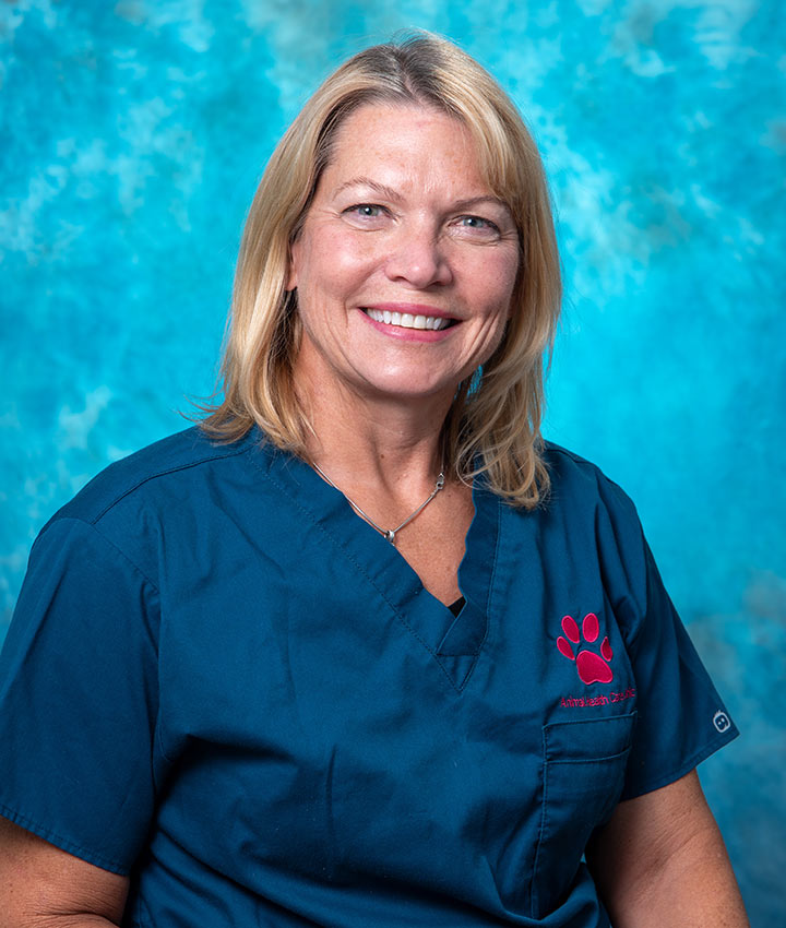 Dr. Lynn Danesi, VMD